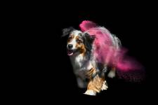 Nathalie AMALLA - STUDIO CHRYSALIN'S