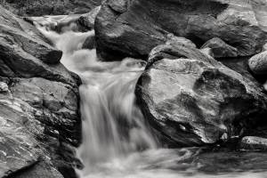 175950739958455557-picture.jpg